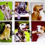 lockable note book dog
