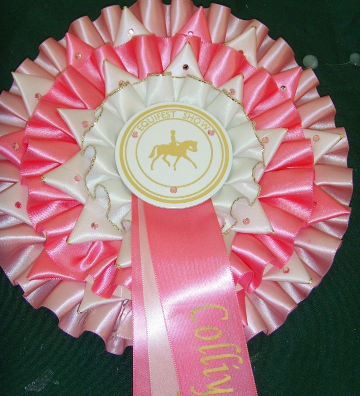 equifest 2011