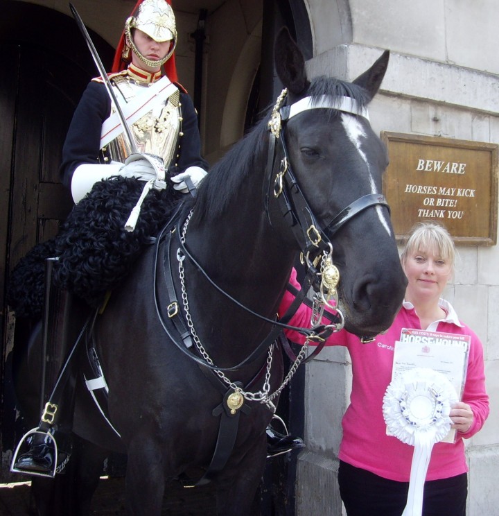 royal rosettes diamond jubilee london them post boxes