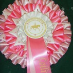 equifest 2011