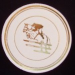 SHOW JUMPER 29